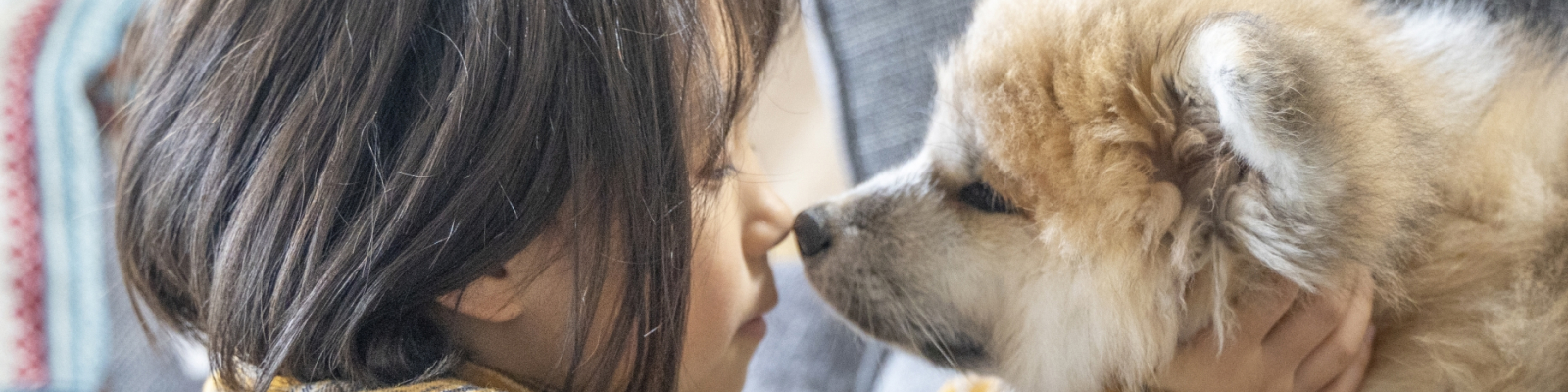 犬と女の子