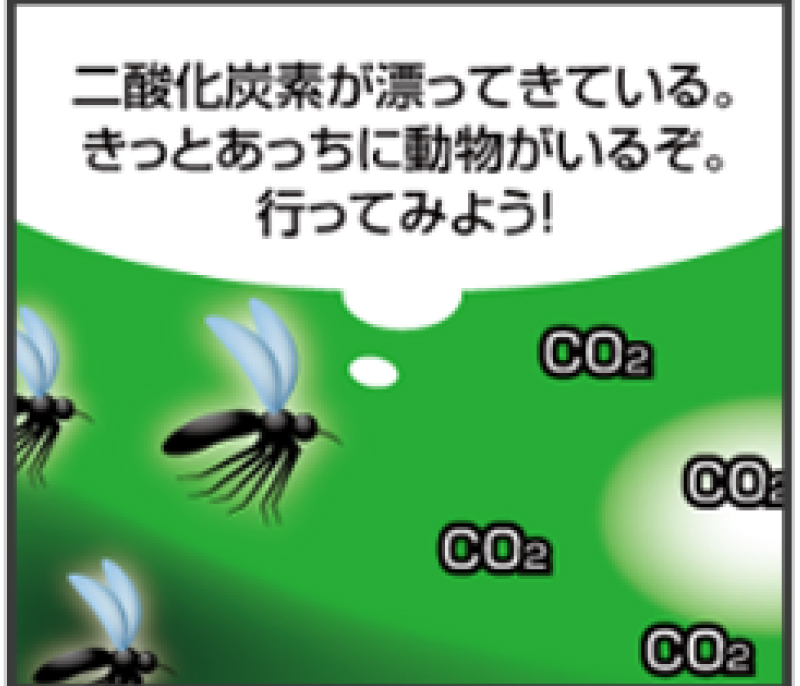 二酸化炭素が漂ってきている。きっとあっちに動物がいるぞ。行ってみよう！