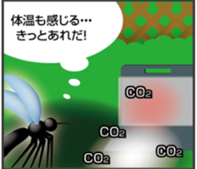 体温も感じる…きっとあれだ！