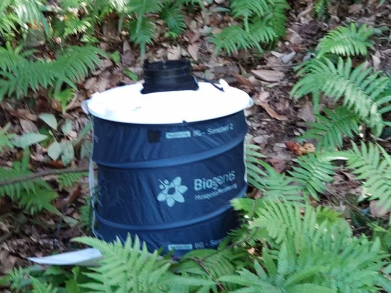 BGセンチネル2(B) 捕獲設置