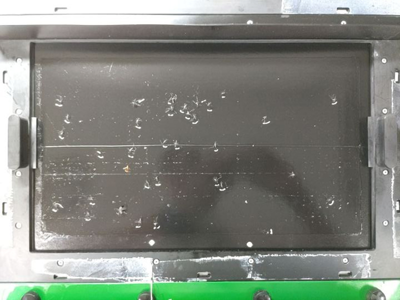 BSPトラップ(B)の捕獲状況（三日間）