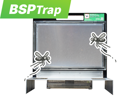  BSP trap