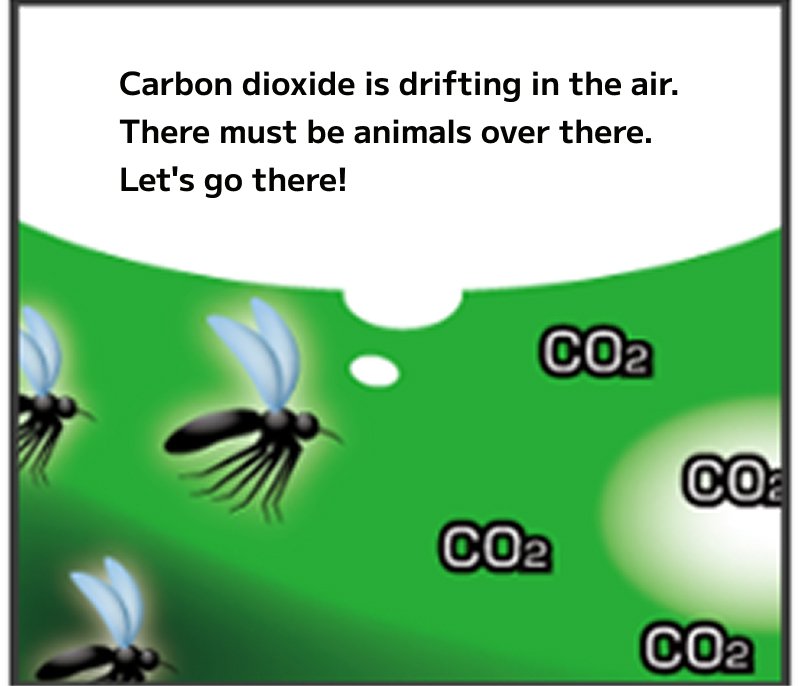 Carbon dioxide is floating around. There must be animals over there. Let's go!